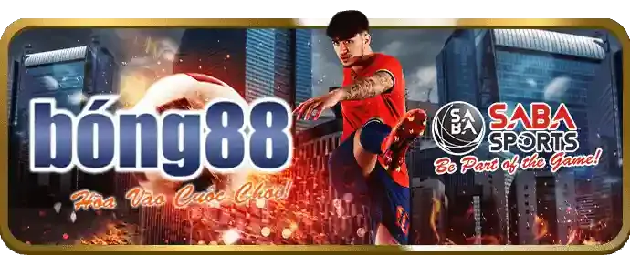 Đá gà Thomo trực tuyến